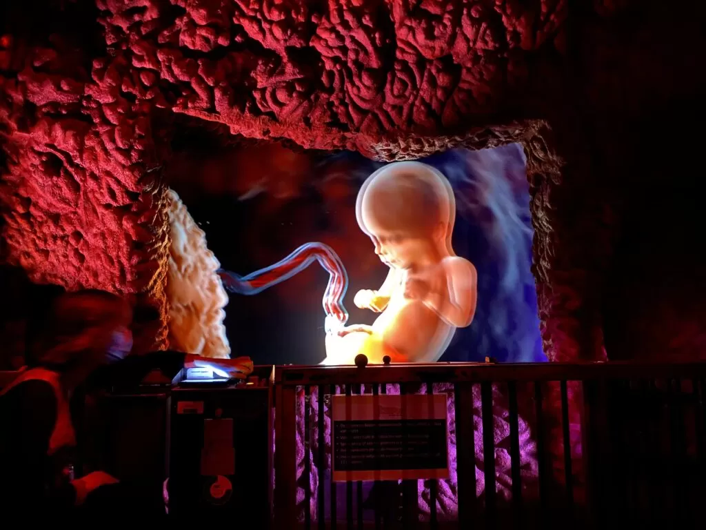 Olanda con ragazzi perfetta in ogni stagione