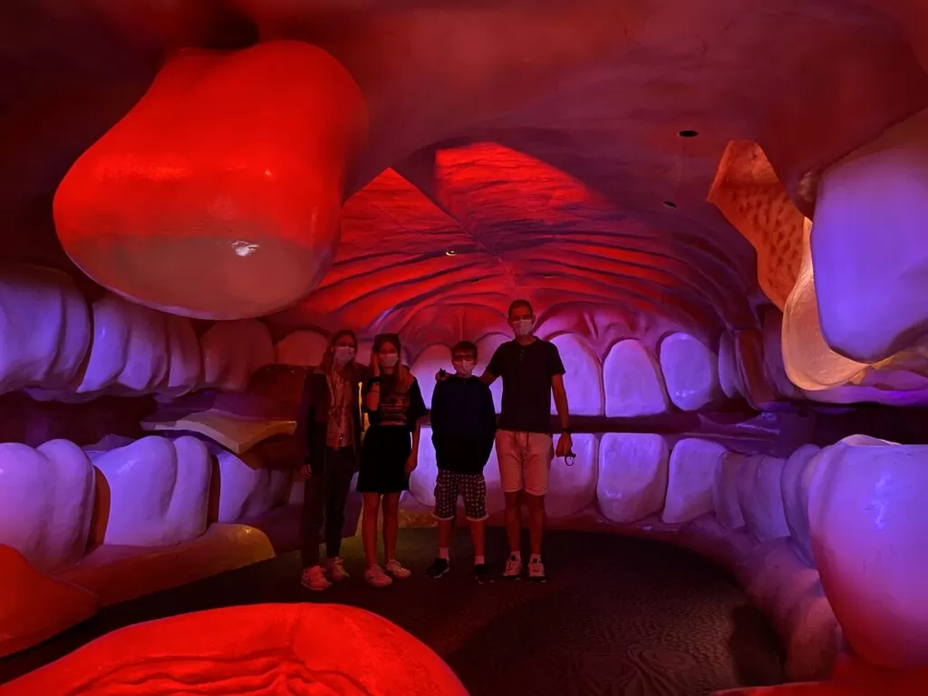 Olanda con ragazzi perfetta in ogni stagione