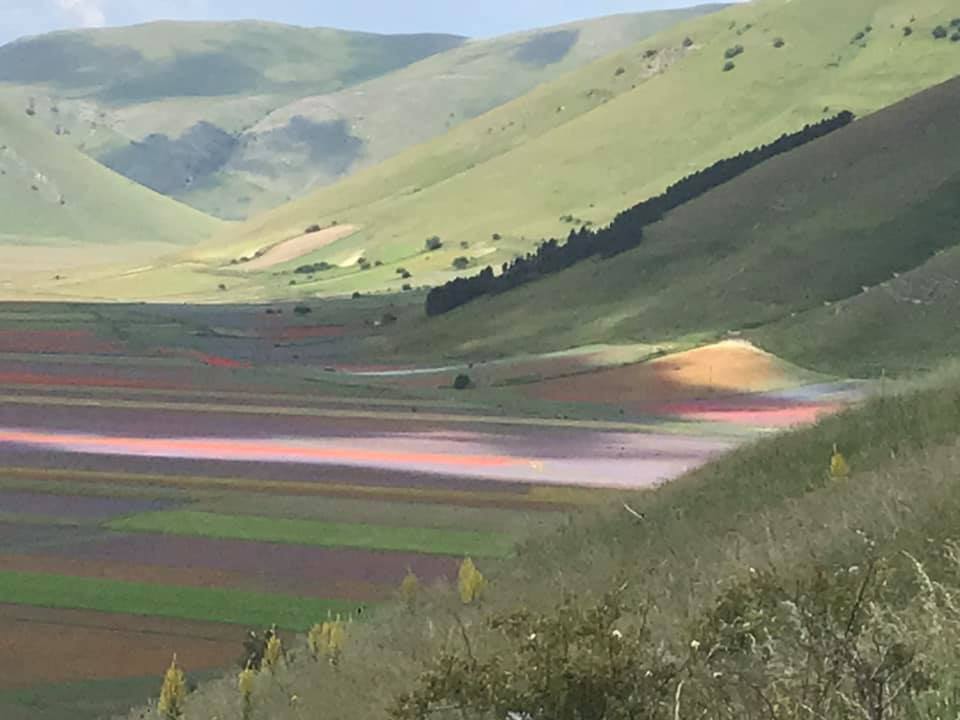 Castelluccio di Norcia e la sua fioritura