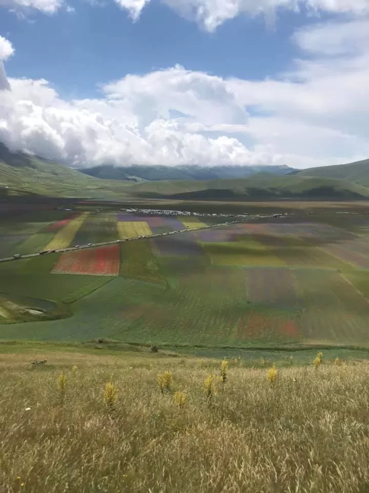Castelluccio di Norcia e la sua fioritura
