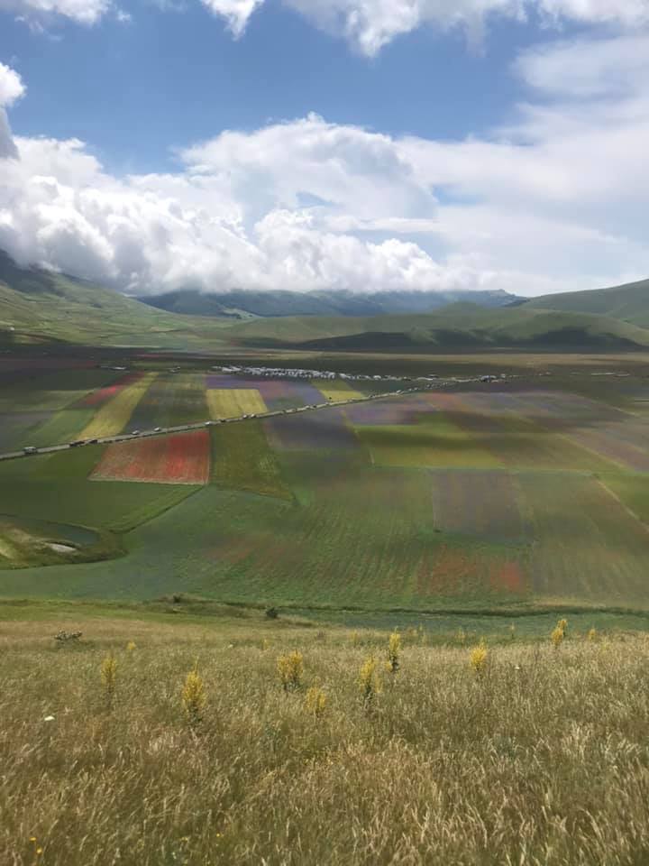 Castelluccio di Norcia e la sua fioritura