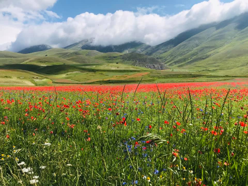 Castelluccio di Norcia e la sua fioritura