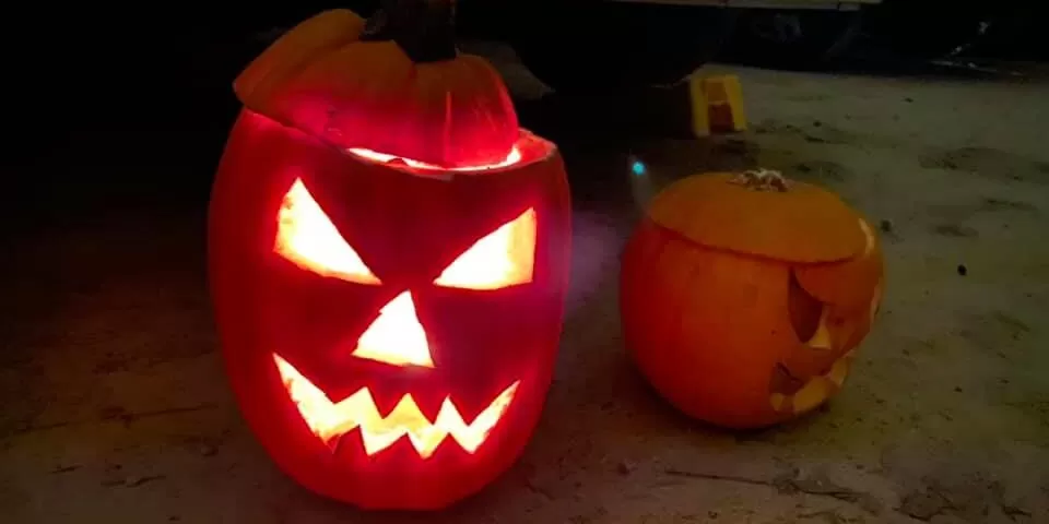 Halloween a cena con Harry Potter 60 camper