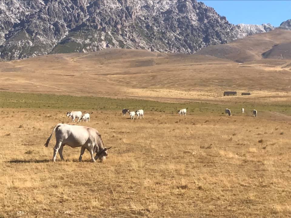 Campo Imperatore uno spettacolo unico