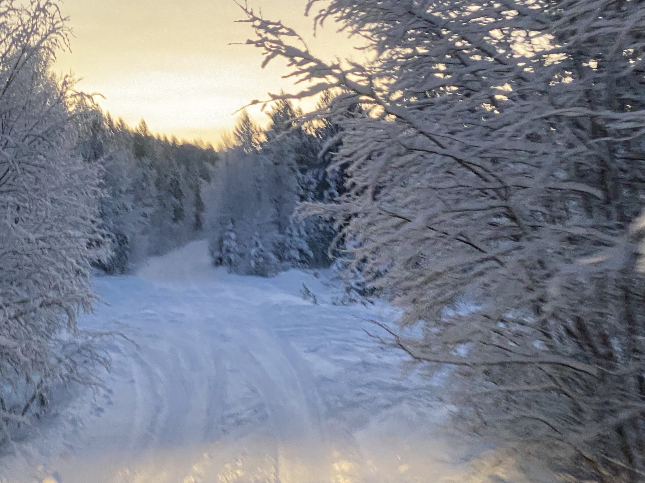 LAPPONIA IN CAMPER LA MAGIA DEL NATALE A CACCIA DELL'AURORA BOREALE  21-6 gennaio 2024 (sold out)