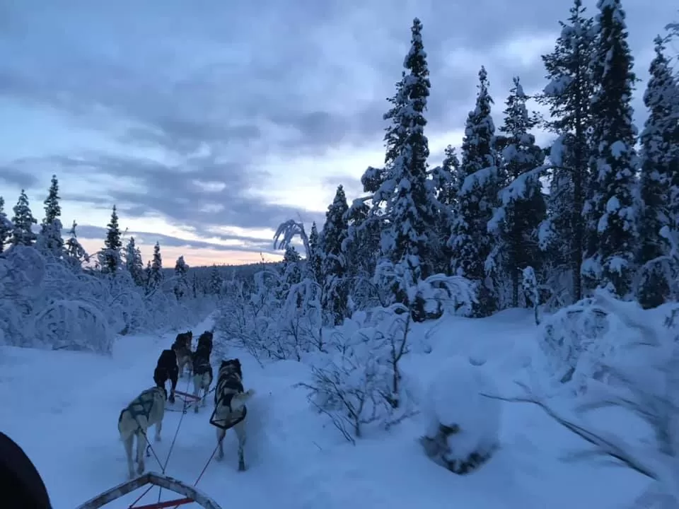 Lapponia in camper in inverno oltre il circolo polare artico a Rovaniemi