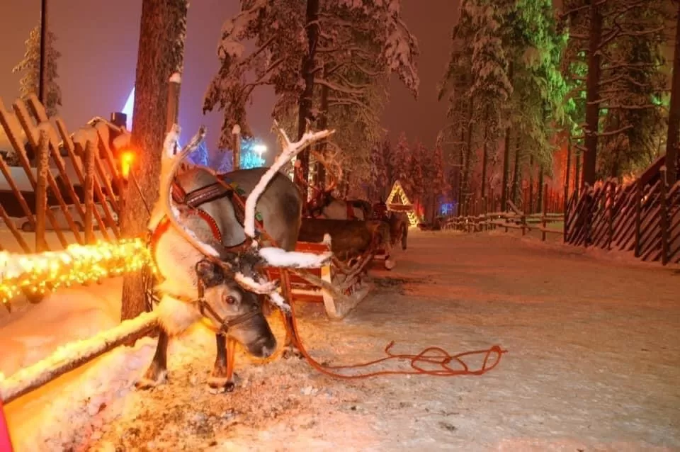 Lapponia in camper in inverno oltre il circolo polare artico a Rovaniemi