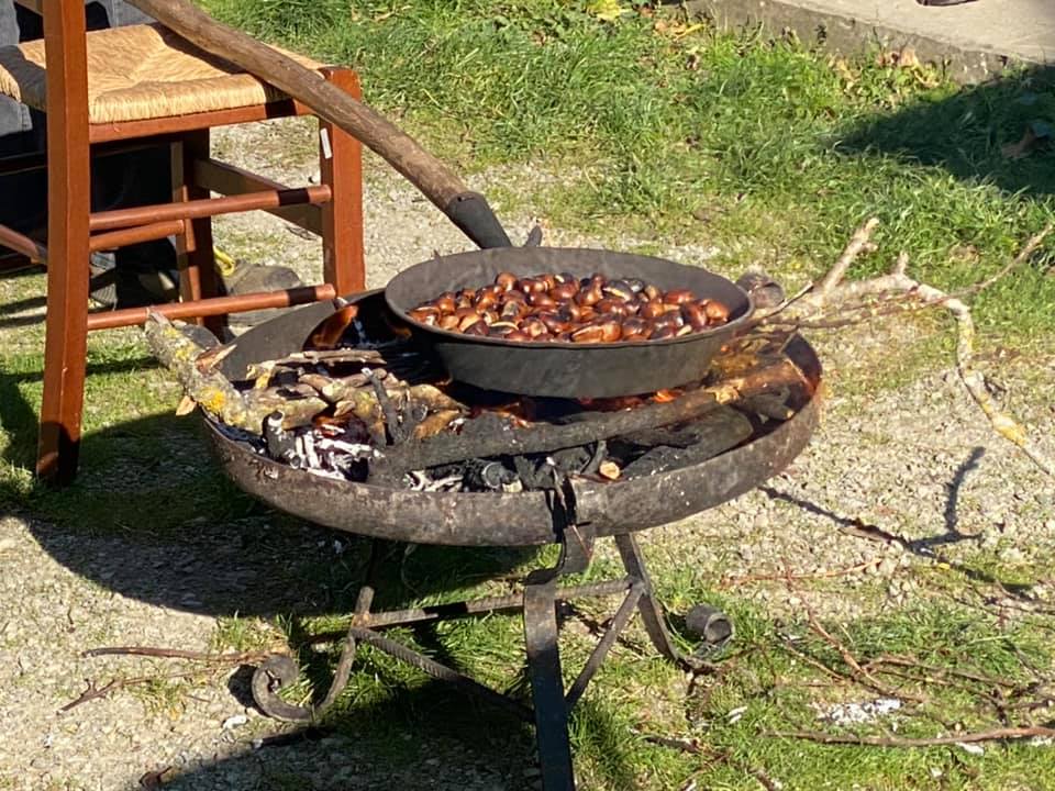 Preparativi per Halloween e raccolta di castagne per famiglie