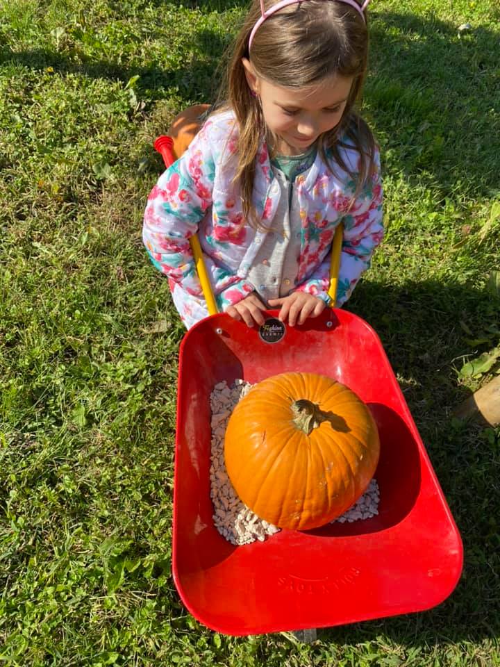 Preparativi per Halloween e raccolta di castagne per famiglie