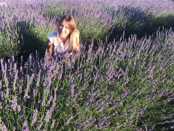 Lavanda
