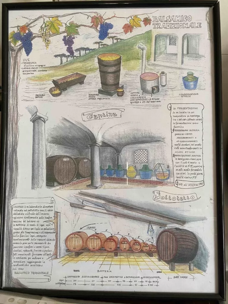 Museo Ferrari e Salse di Nirano