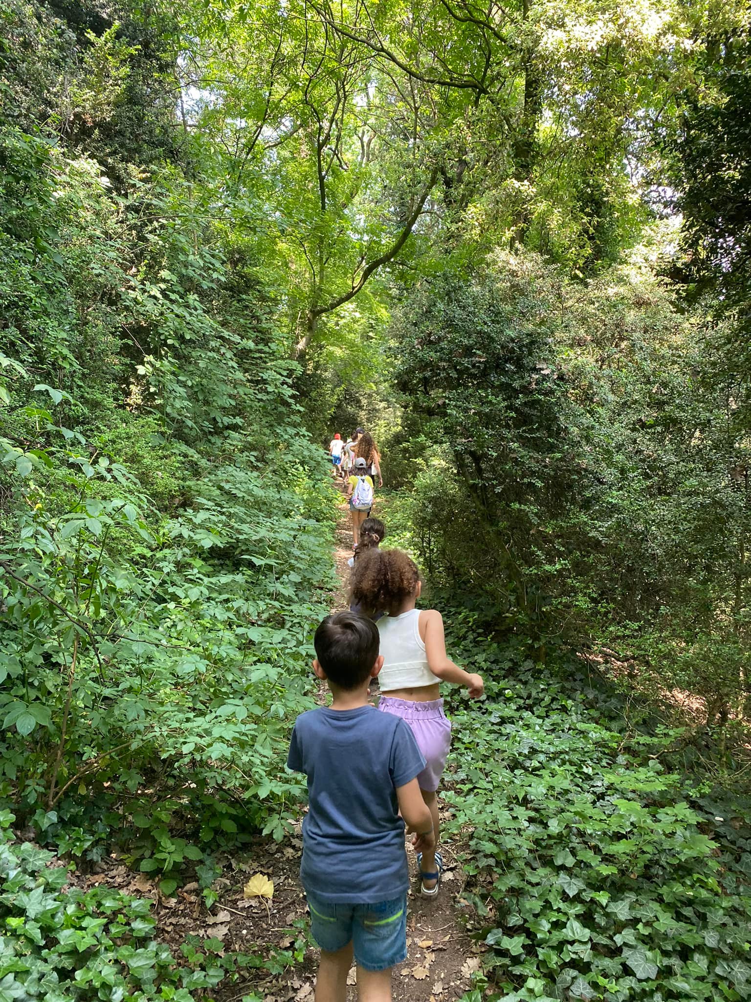 Parco Sigurtà e Borghetto