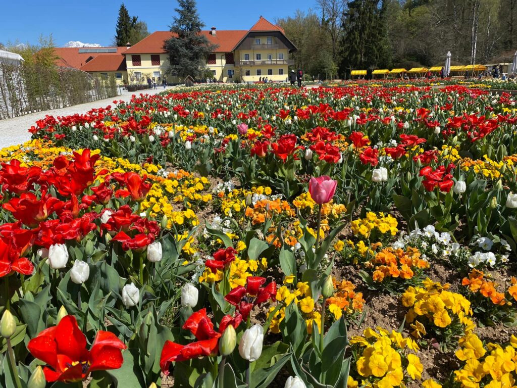 Pasqua in Slovenia