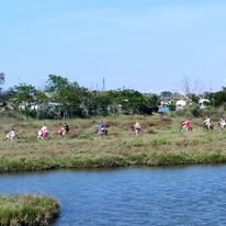 Tra le Valli di Comacchio in bicicletta