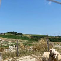 Rally Drift Show, Tra Urbino e Magia