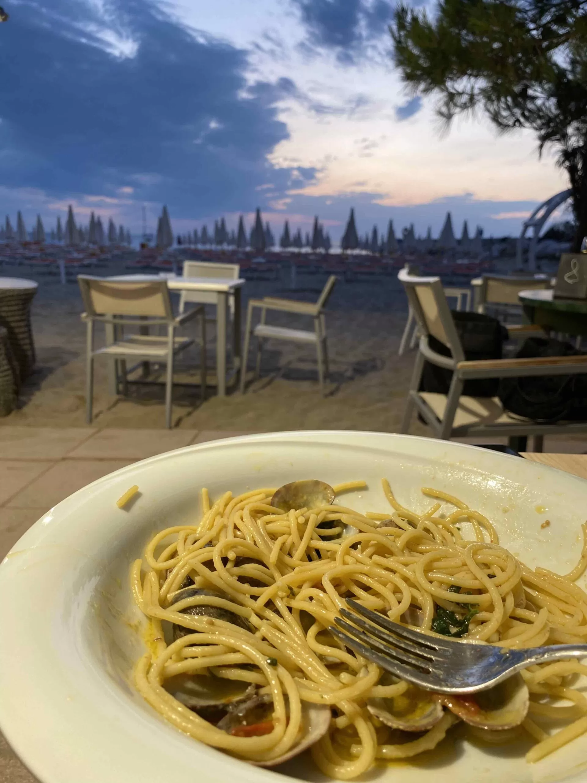 Luglio 2023 Isole Tremiti e Gargano