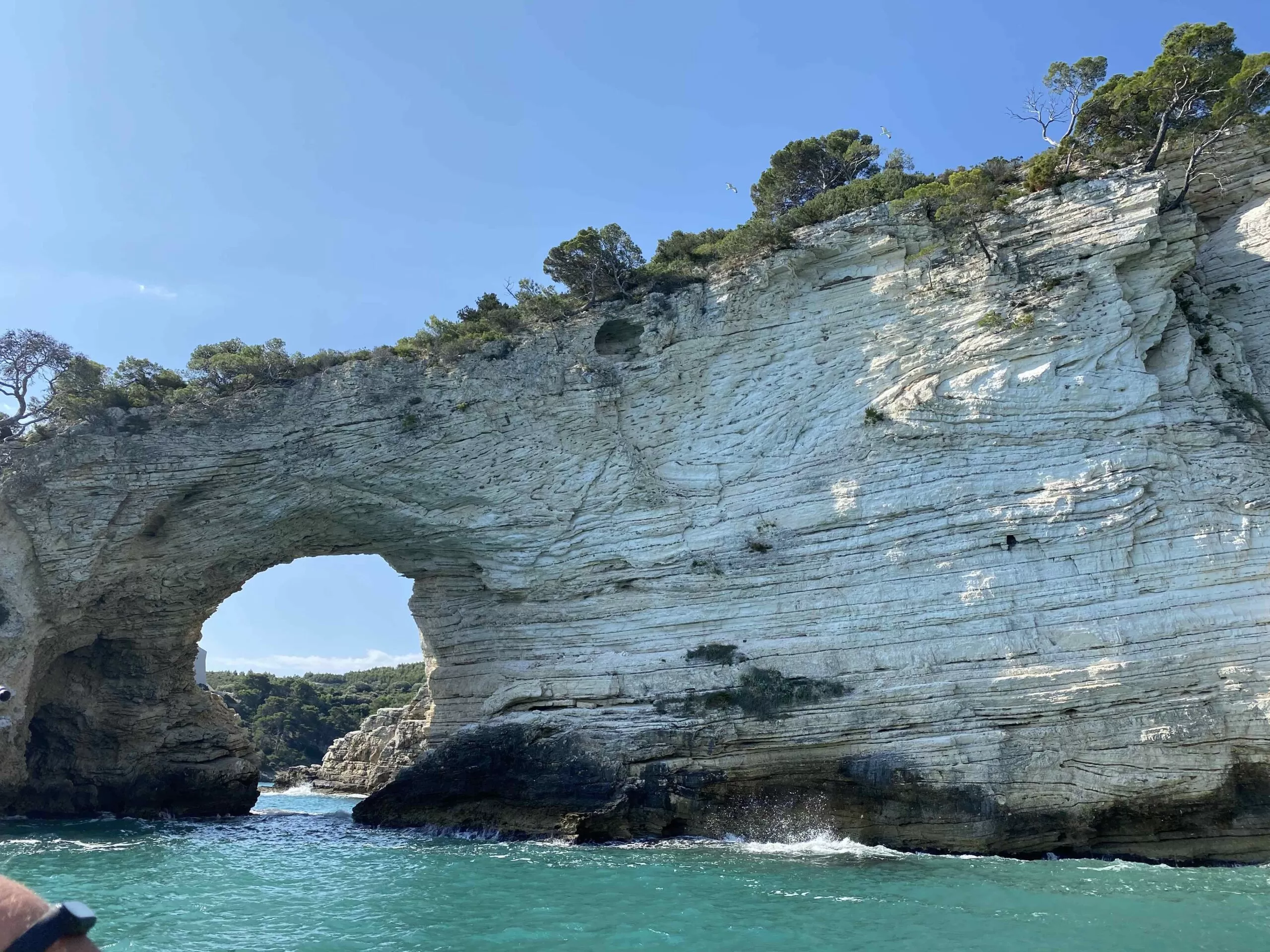 Luglio 2023 Isole Tremiti e Gargano