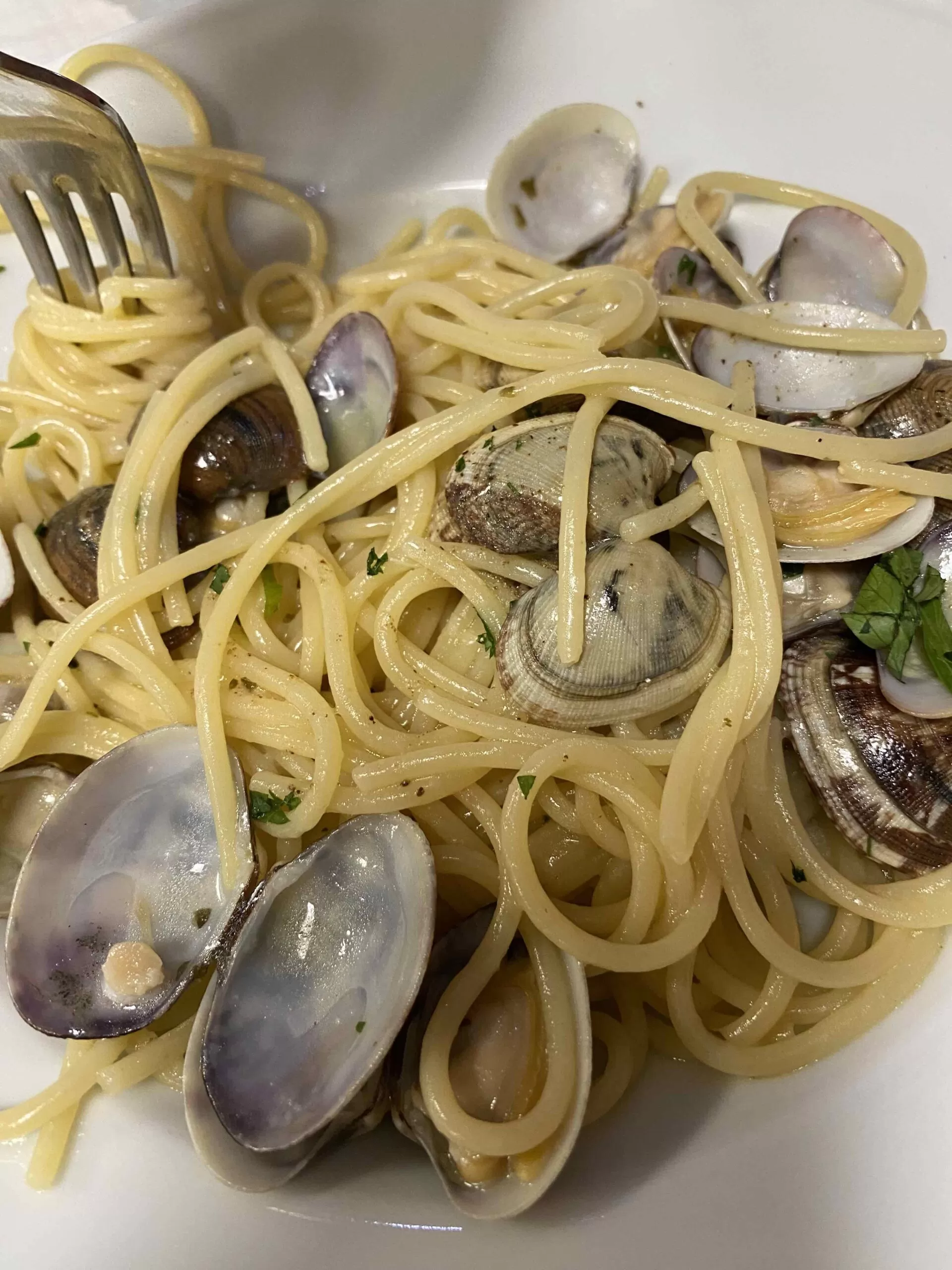 Luglio 2023 Isole Tremiti e Gargano