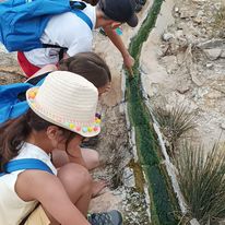 Toscana tra storia, bagni termali, battaglie e miniere