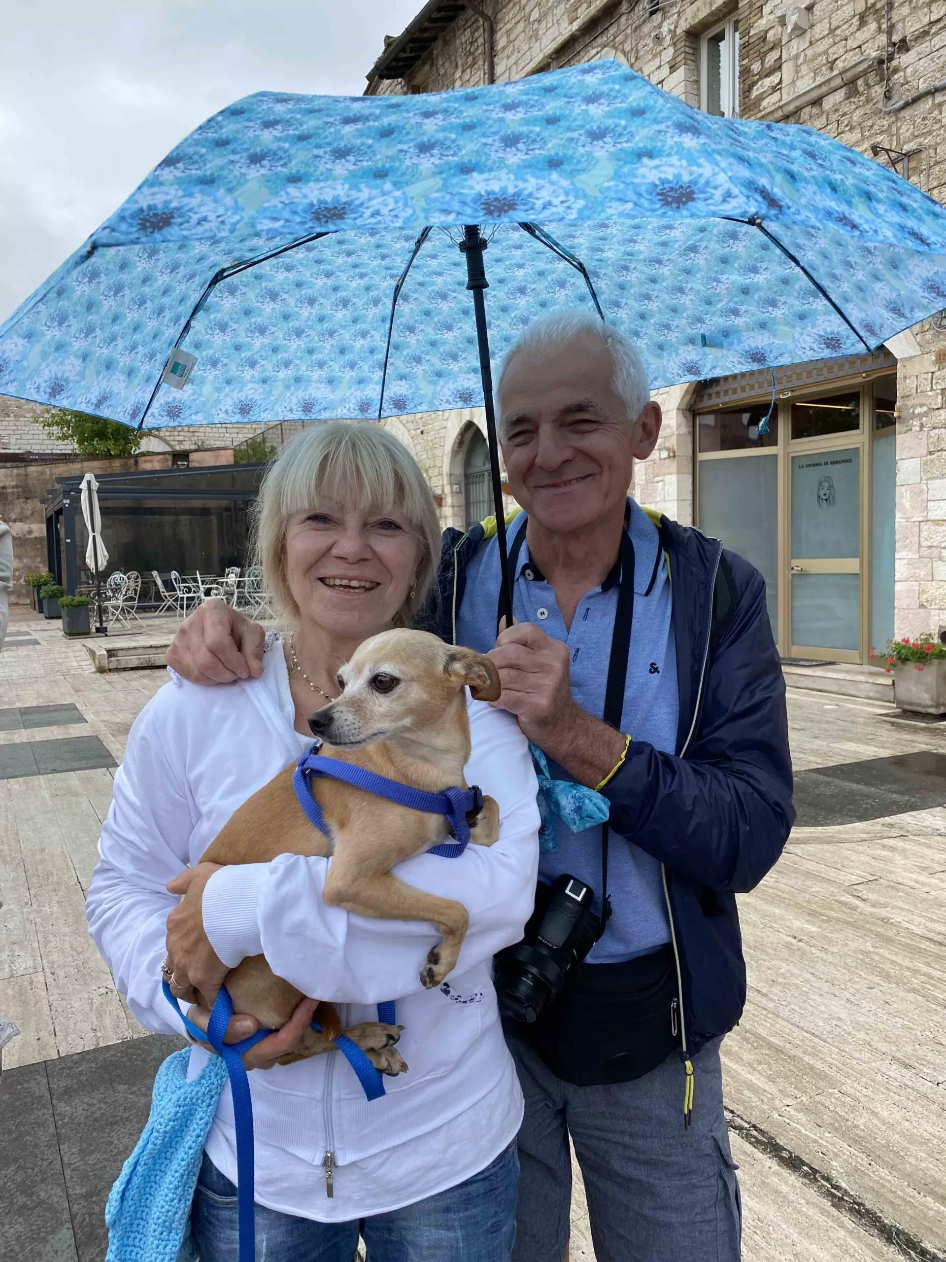Fioritura di Castelluccio e Festa della lavanda ad Assisi Giugno 2023