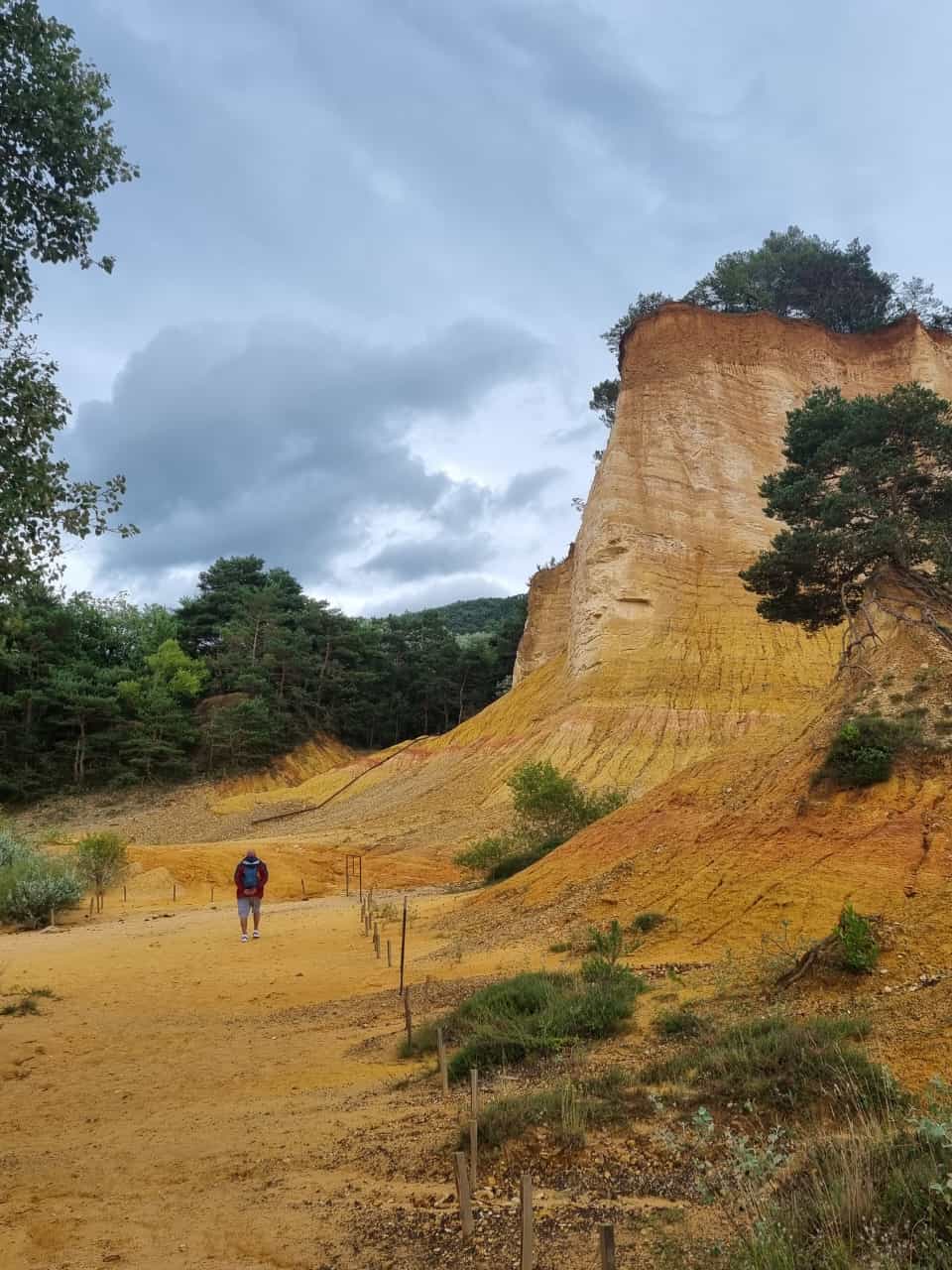 Lavanda in Provenza Luglio 2023