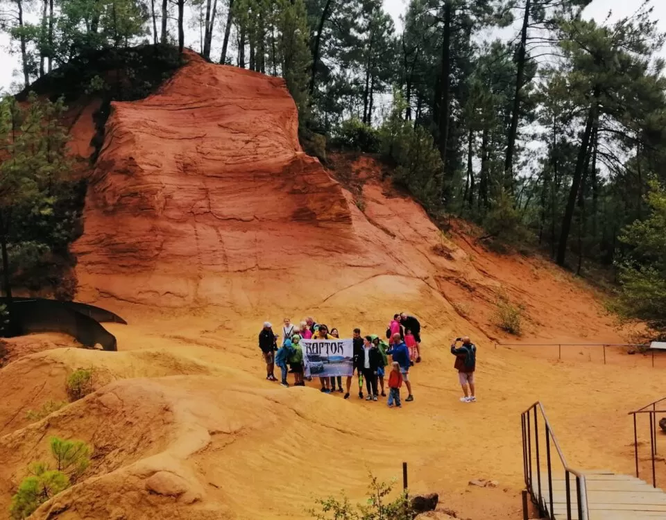 Lavanda in Provenza Luglio 2023