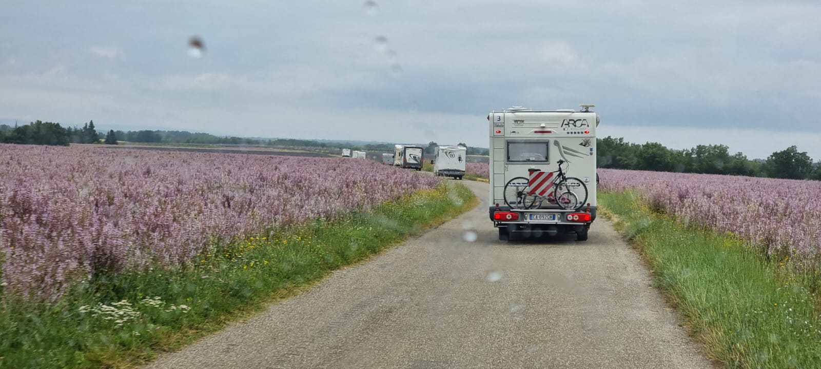 Lavanda in Provenza Luglio 2023
