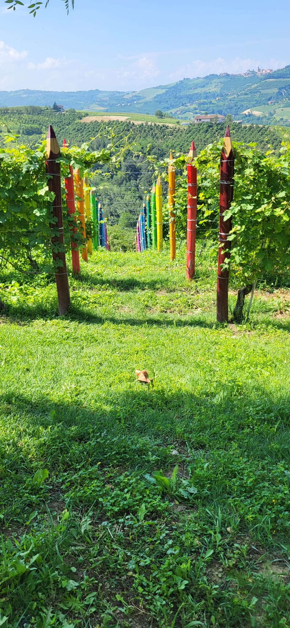 Cena in Vigna nelle Langhe, Castello di Barolo e museo del vino WiMu Giugno 2023