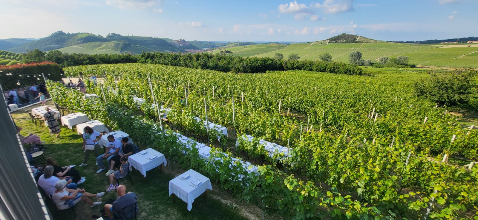 Cena in Vigna nelle Langhe, Castello di Barolo e museo del vino WiMu Giugno 2023