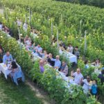 Cena in Vigna nelle Langhe, Castello di Barolo e museo del vino WiMu Giugno 2023