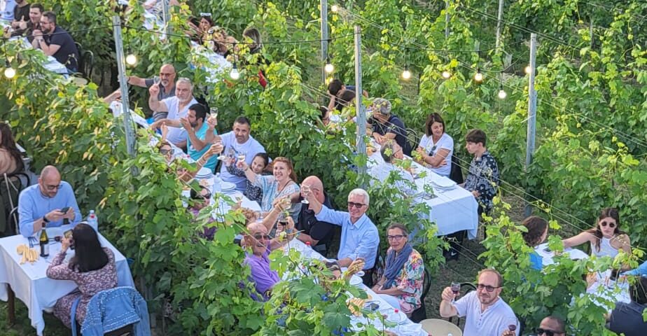 Cena in Vigna nelle Langhe, Castello di Barolo e museo del vino WiMu Giugno 2023