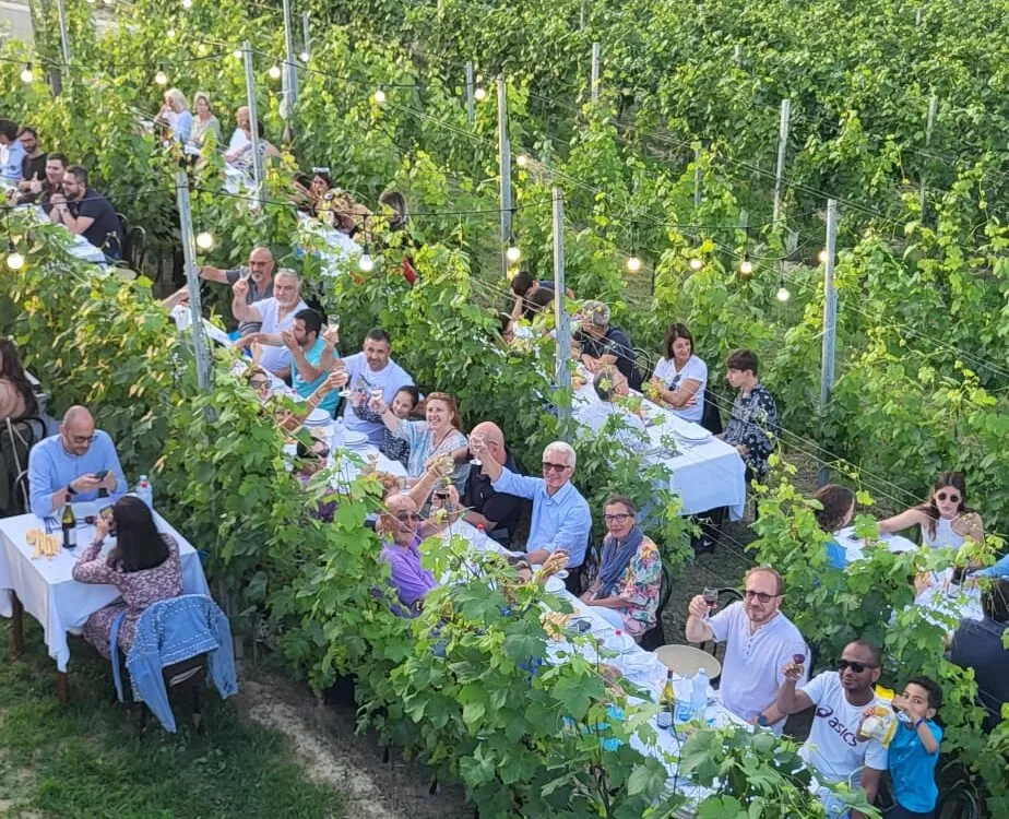 Cena in Vigna nelle Langhe, Castello di Barolo e museo del vino WiMu Giugno 2023