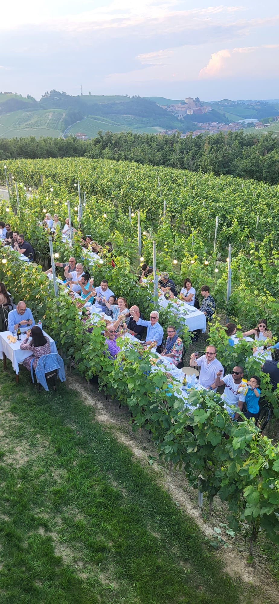 Cena in Vigna nelle Langhe, Castello di Barolo e museo del vino WiMu Giugno 2023