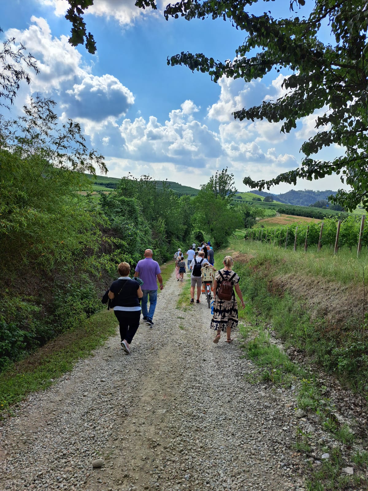 Cena in Vigna nelle Langhe, Castello di Barolo e museo del vino WiMu Giugno 2023