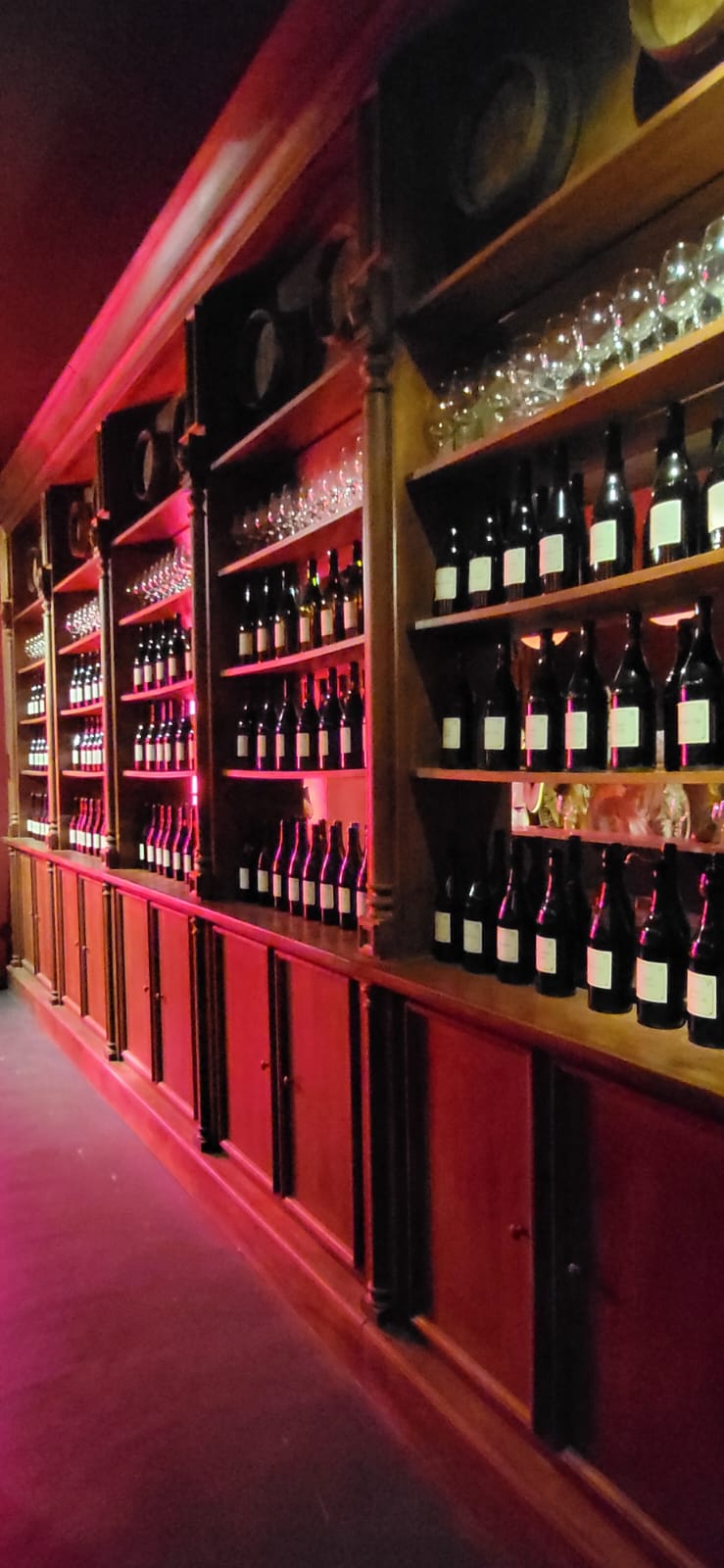 Cena in Vigna nelle Langhe, Castello di Barolo e museo del vino WiMu Giugno 2023