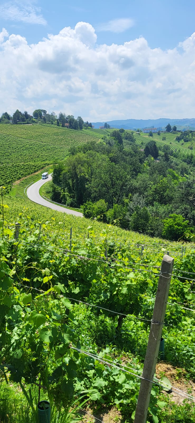 Cena in Vigna nelle Langhe, Castello di Barolo e museo del vino WiMu Giugno 2023
