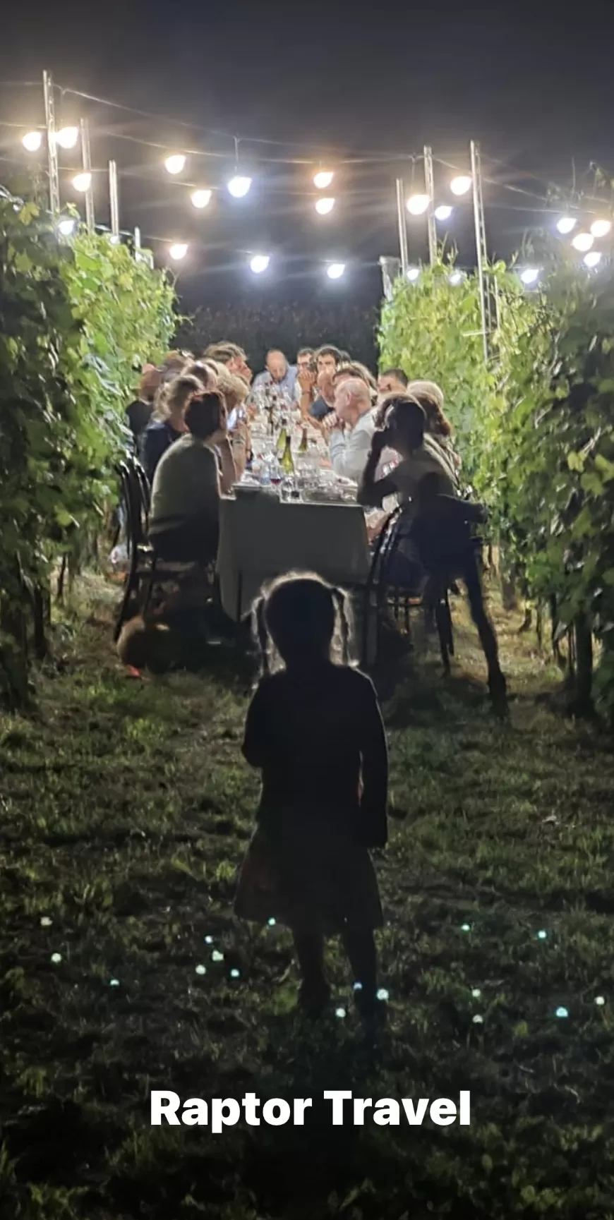 Cena in Vigna nelle Langhe, Castello di Barolo e museo del vino WiMu Giugno 2023