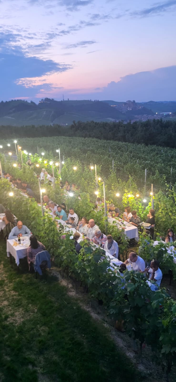 Cena in Vigna nelle Langhe, Castello di Barolo e museo del vino WiMu Giugno 2023