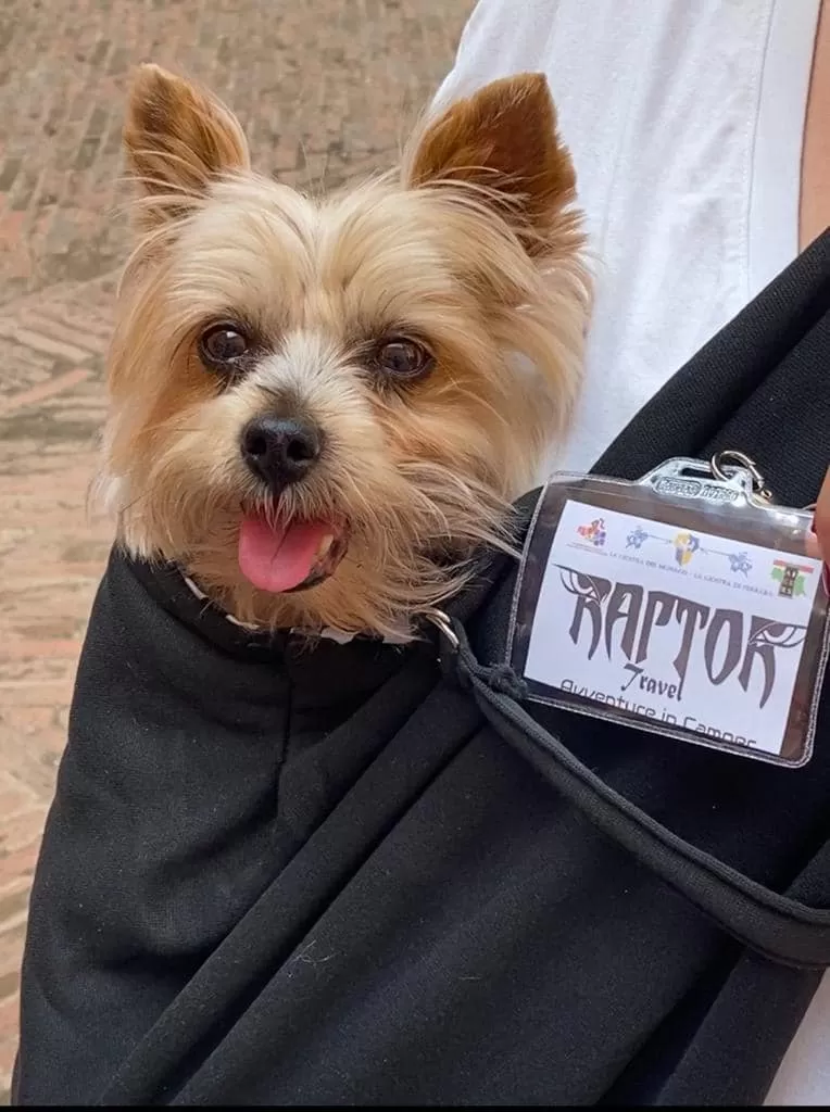 "Ritorno al Medioevo" a Ferrara