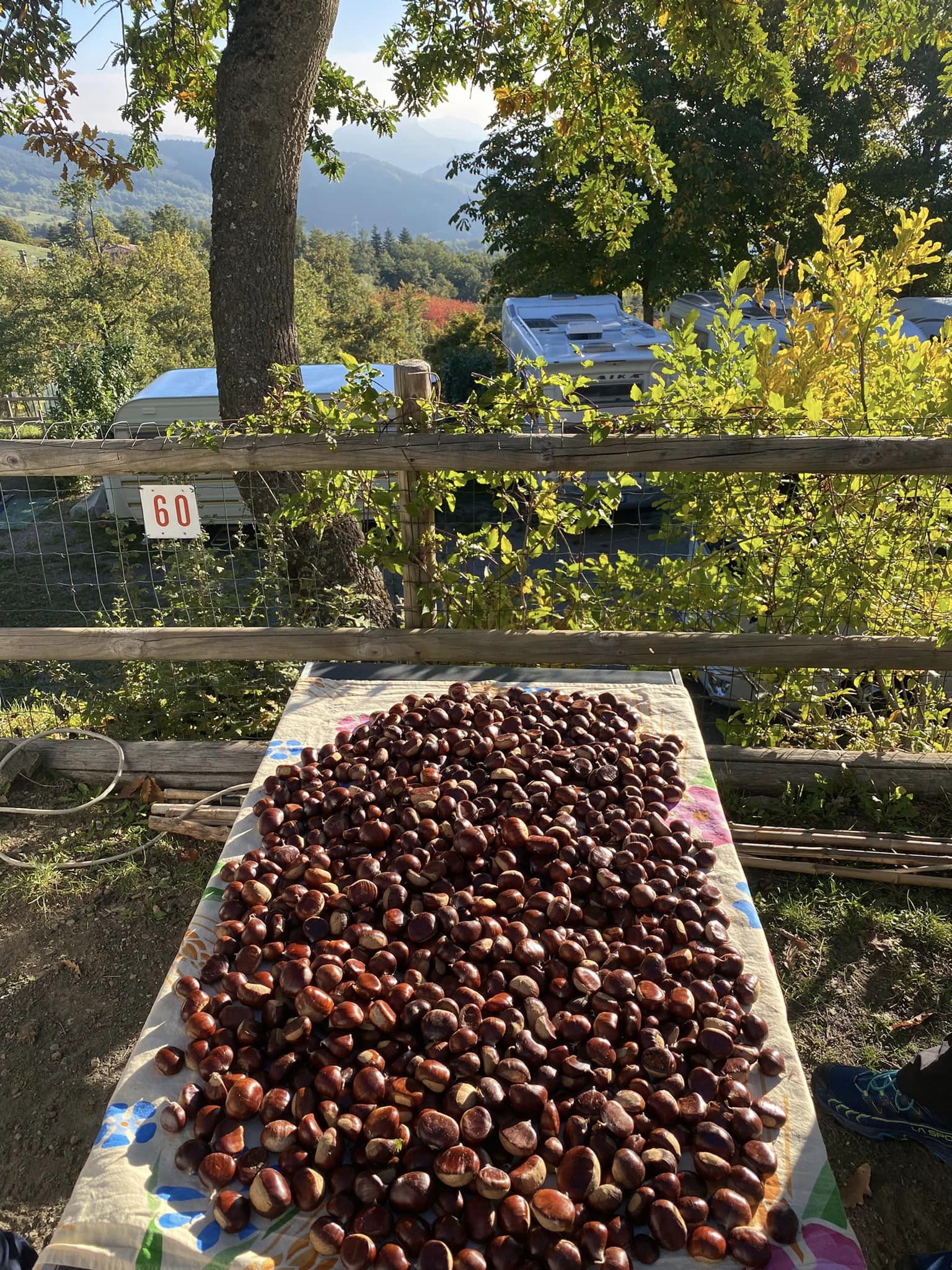Castagnata ottobre 2022