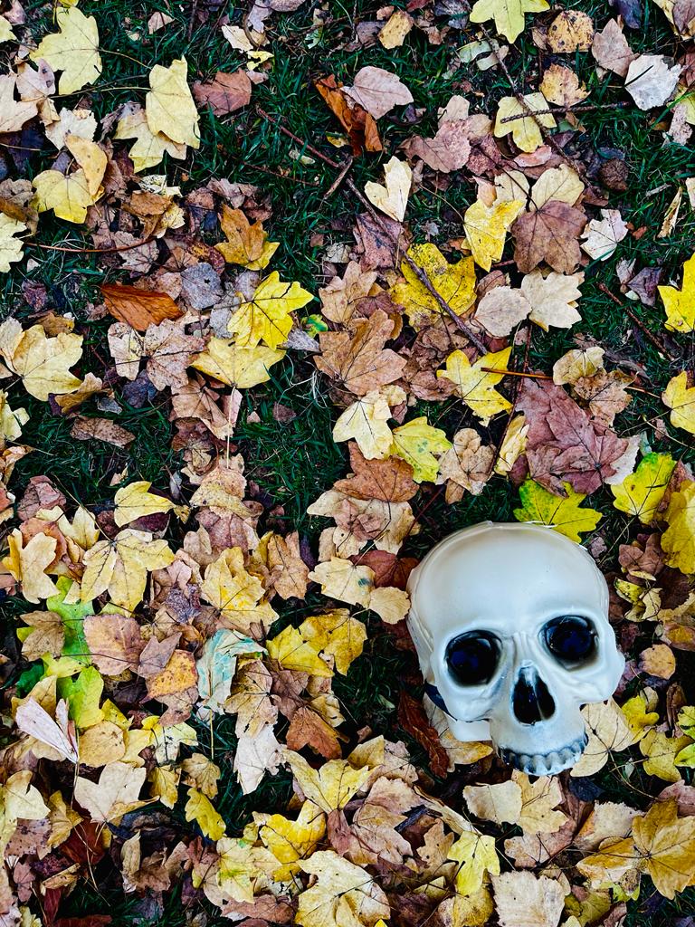 Halloween Transilvania in camper ottobre 2023