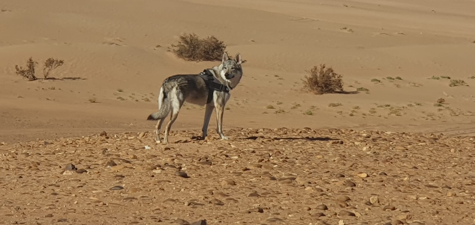Marocco Capodanno 2024