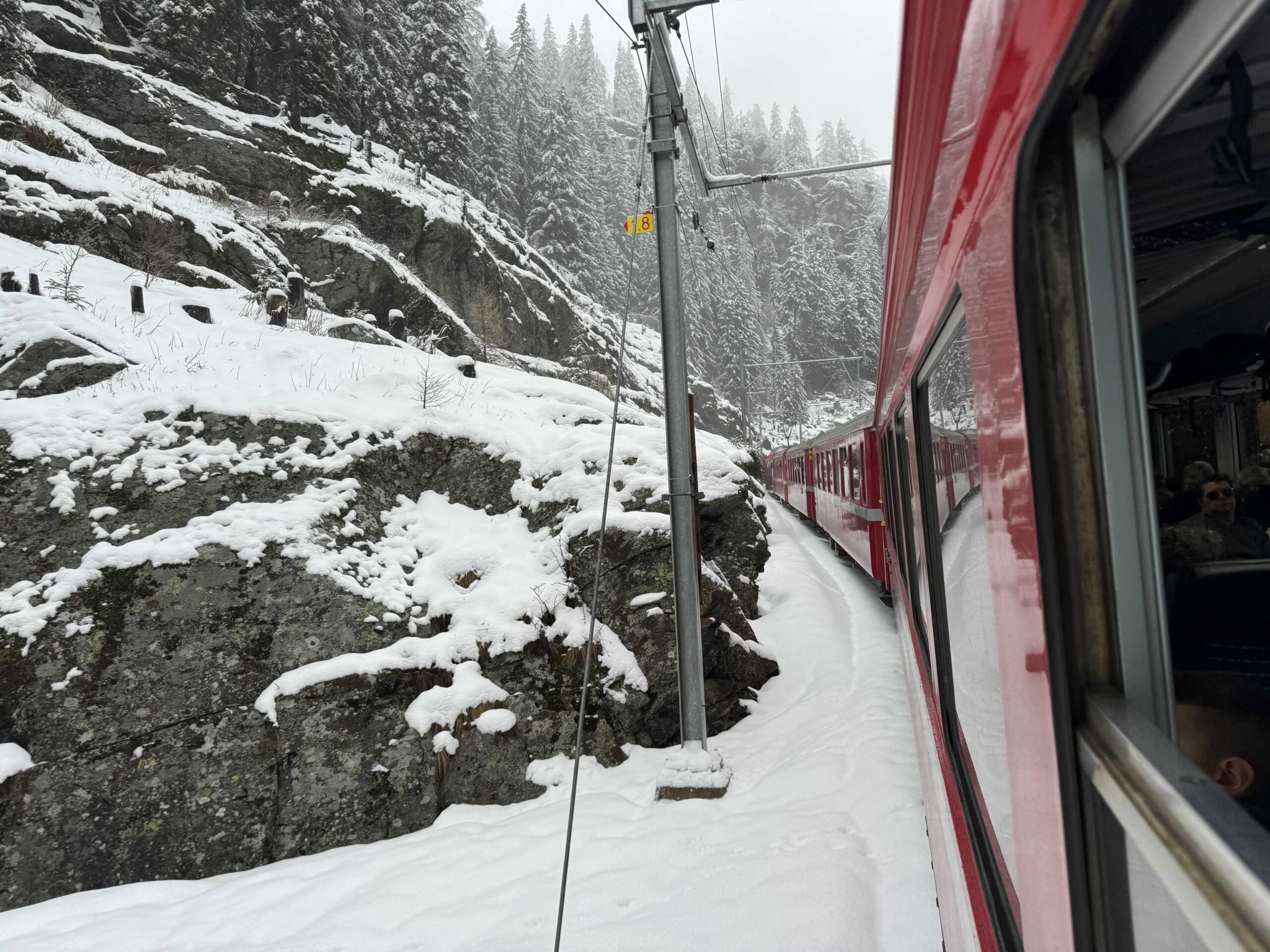 Febbraio 2024 Trenino del Bernina e Pizzoccheri