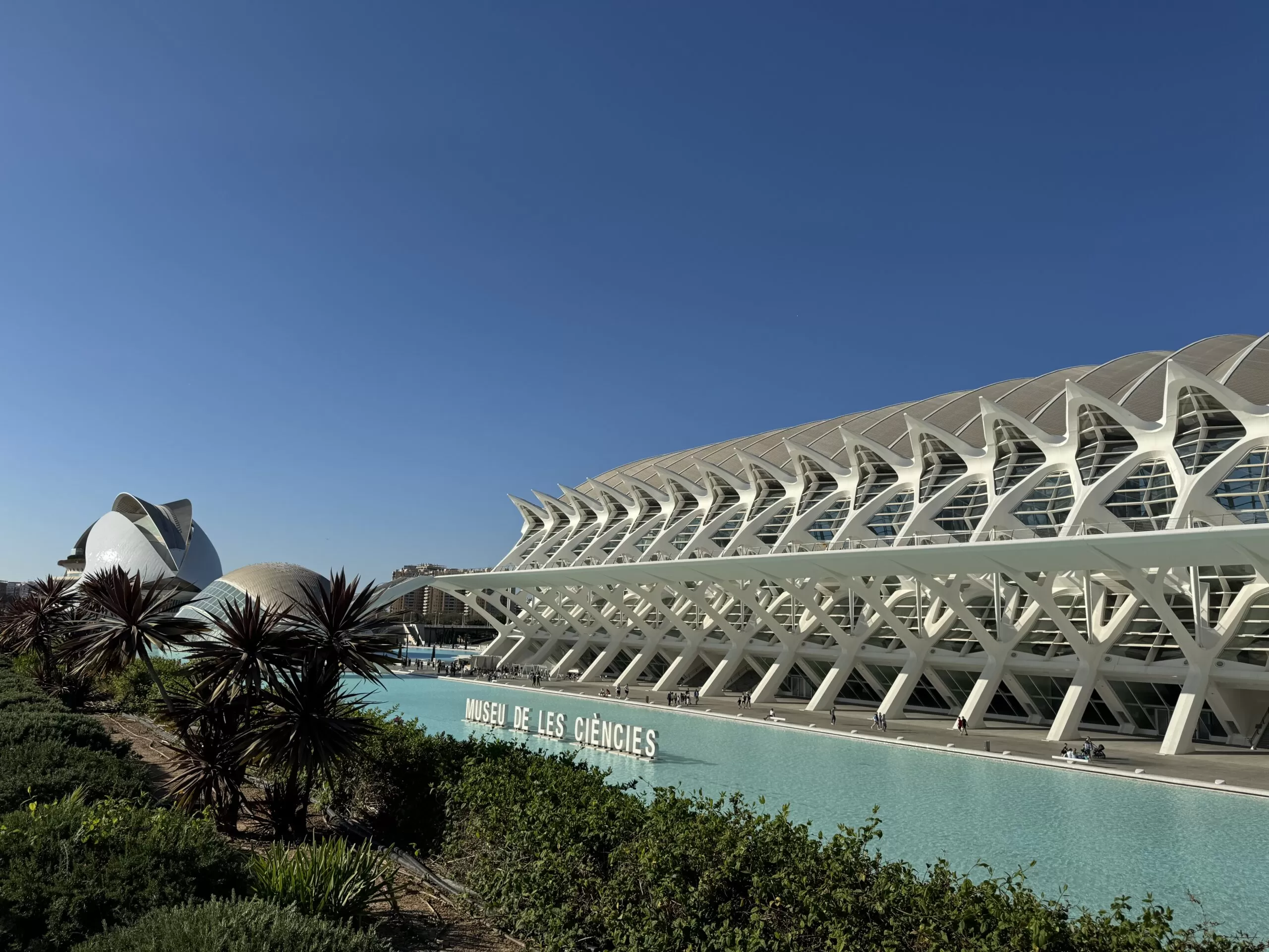 Tour di Primavera Aprile 2024 in Andalusia