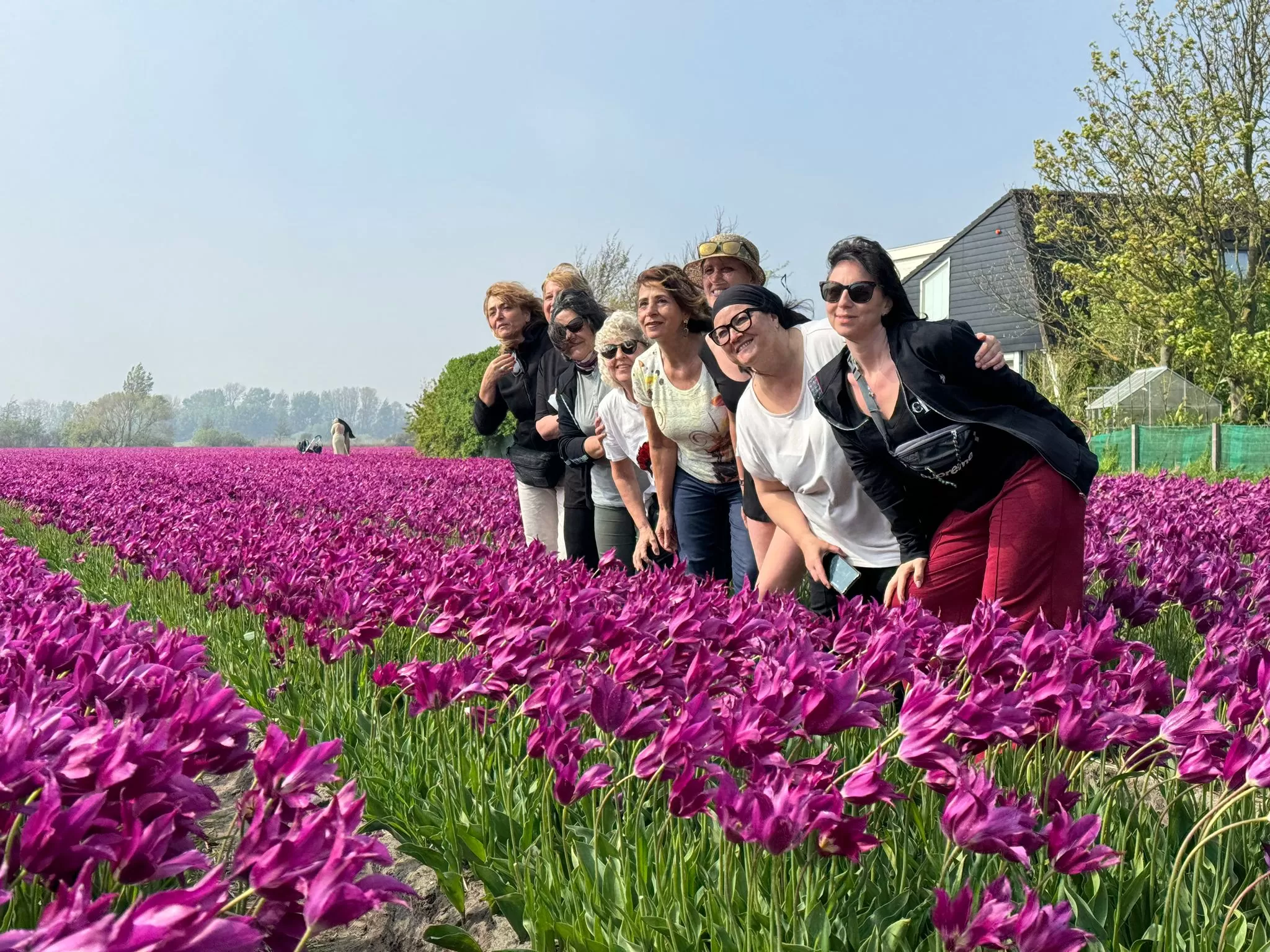 Olanda in camper Aprile 2024 tra mulini e tulipani