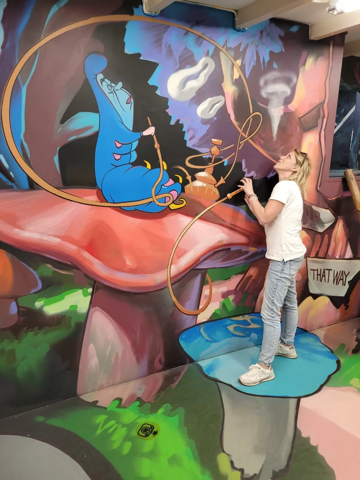 Olanda in camper Aprile 2024 tra mulini e tulipani