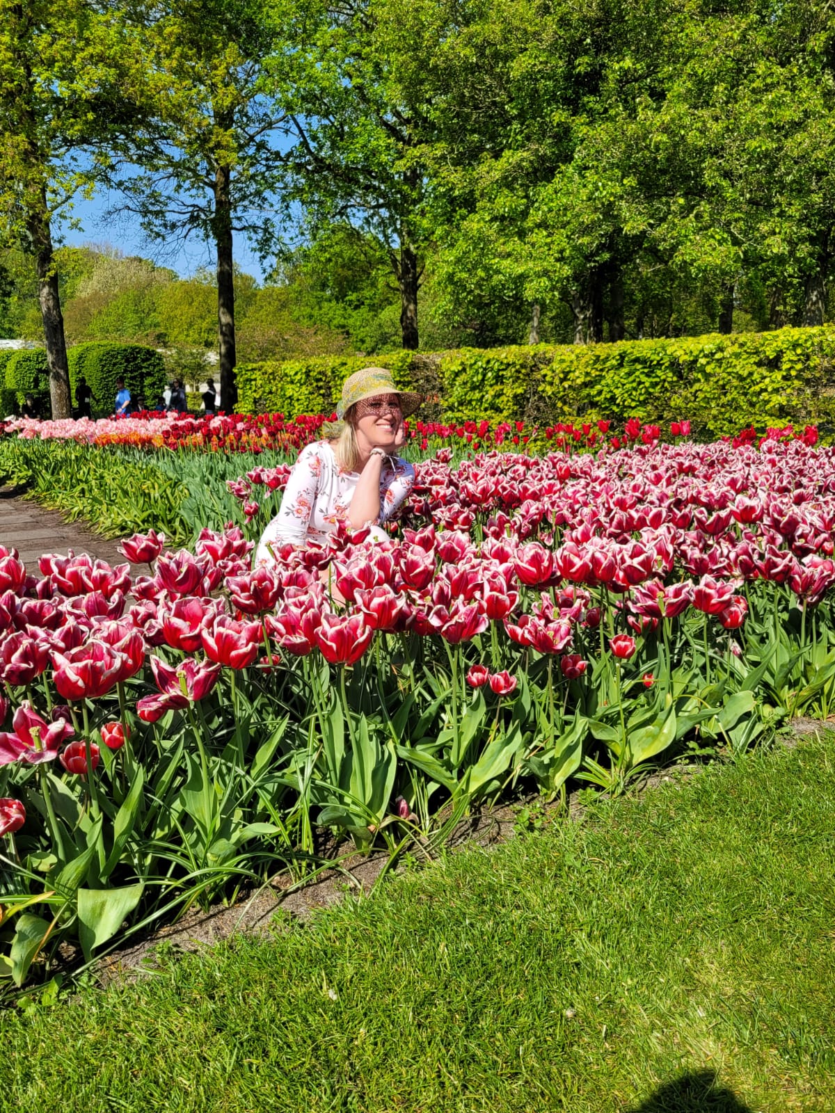 Olanda in camper Aprile 2024 tra mulini e tulipani