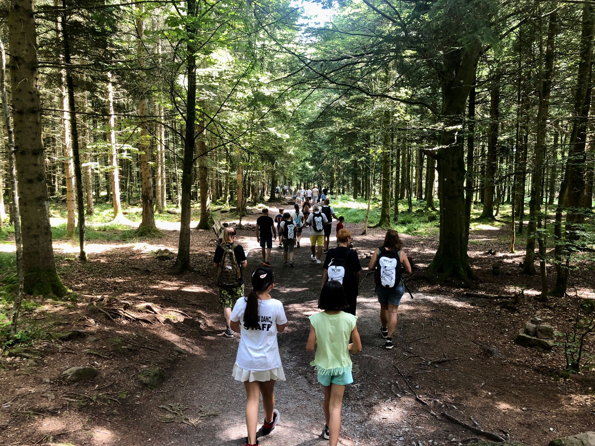 Tour Alsazia e Foresta nera Agosto 2024