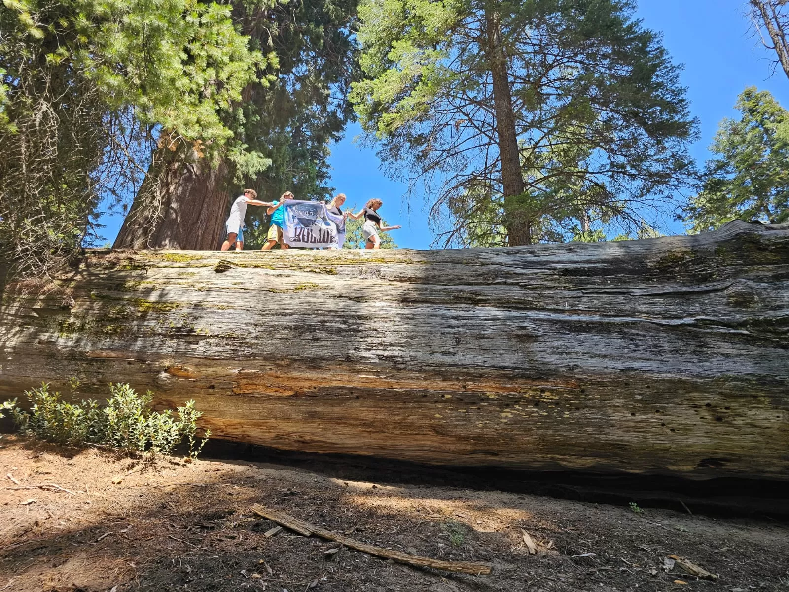 Tour America parchi dell'ovest in camper agosto 2024