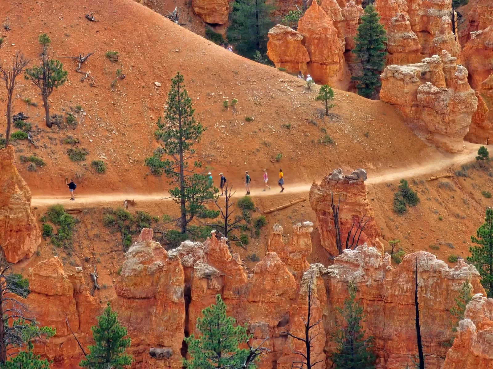 Tour America parchi dell'ovest in camper agosto 2024